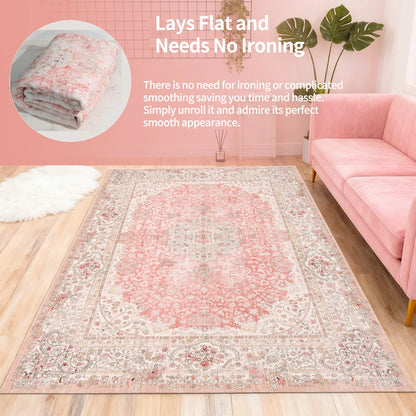 Luxury Washable Living Room Area Rug / Mat